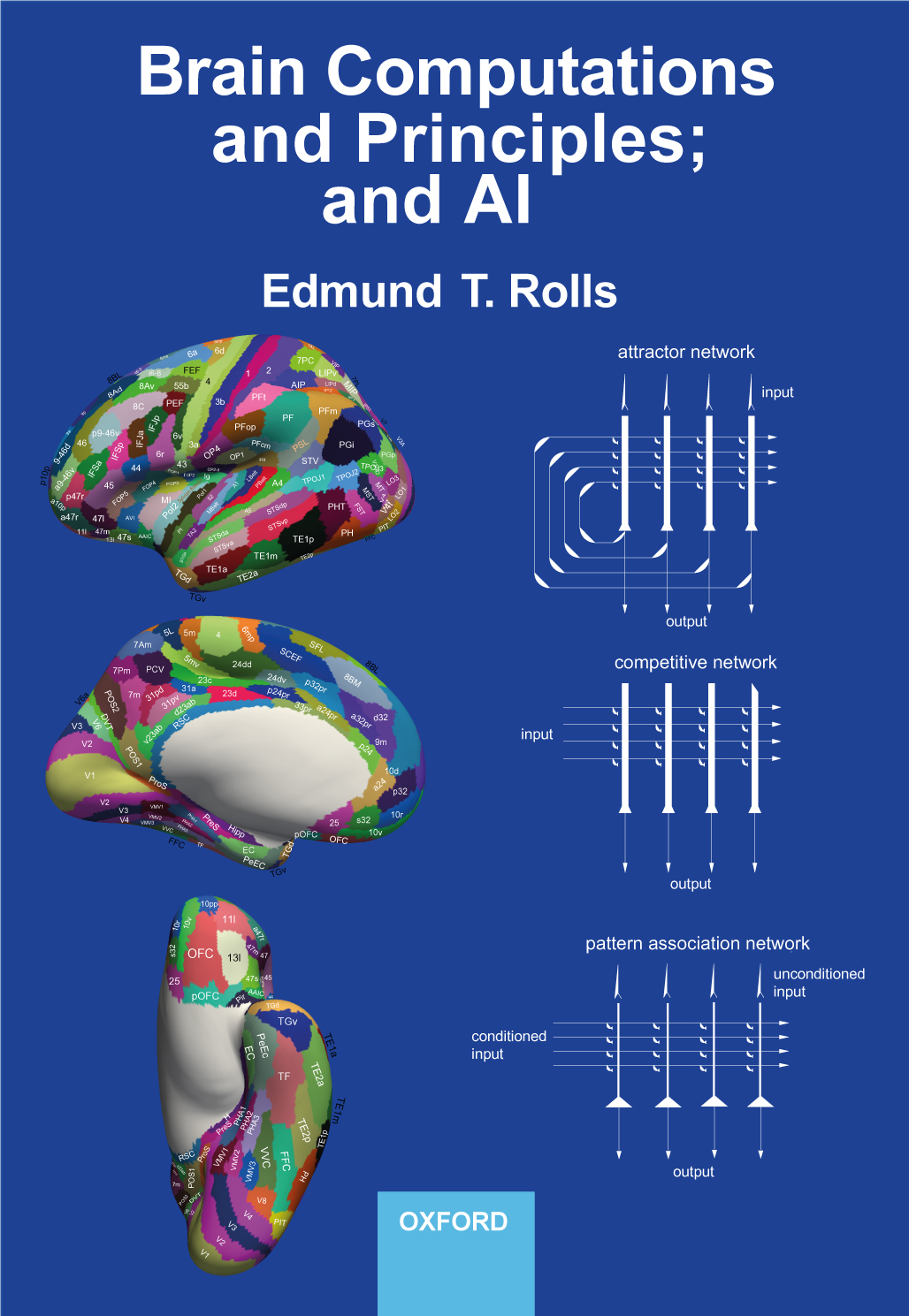Brain Computations